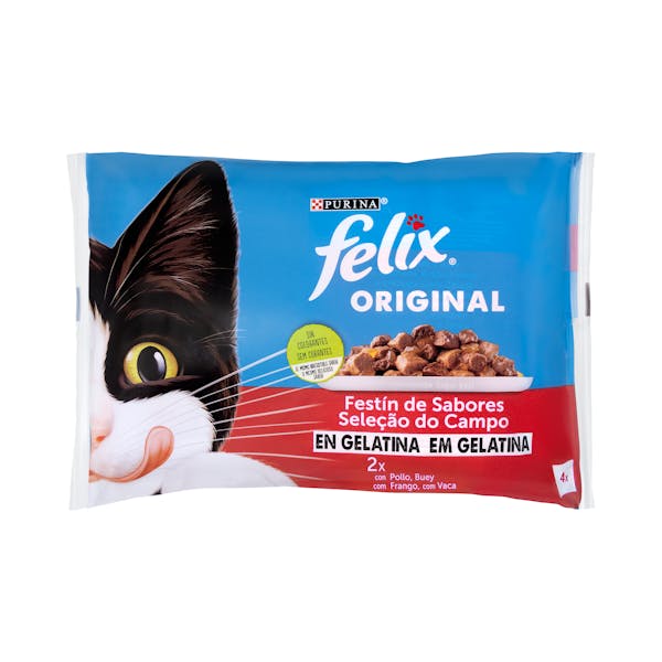 Gelatina gato Felix festín de sabores